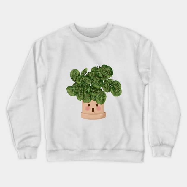 Cute Plant Illustration, Lemon Lime Prayer Plant - Maranta 2 Crewneck Sweatshirt by gusstvaraonica